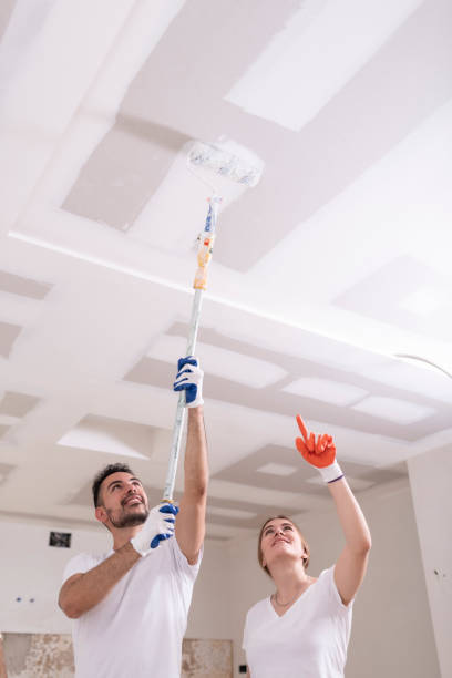 Mold Remediation for Vacation Homes in Swedesboro, NJ
