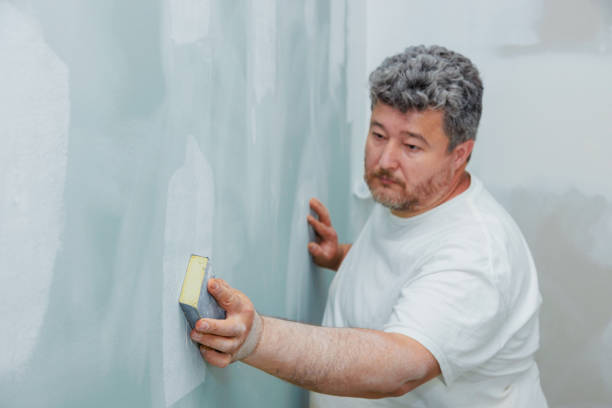 Best Airborne Mold Testing  in Swedesboro, NJ